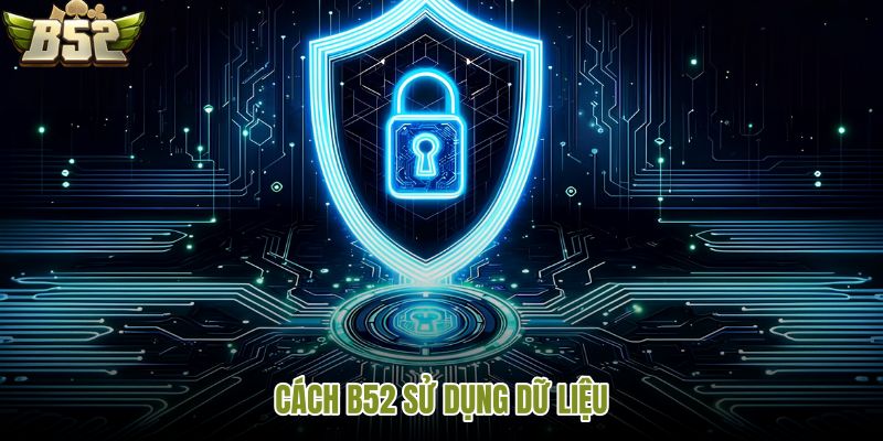 cach-b52-su-dung-du-lieu