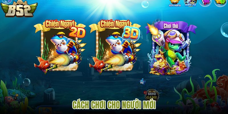 cach-choi-cho-nguoi-moi