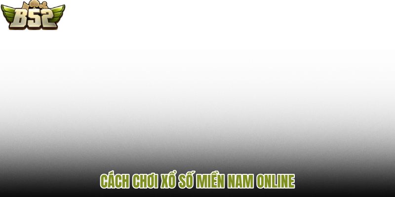 cach-choi-xo-so-mien-nam-online