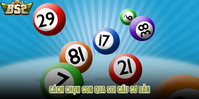 cach-chon-con-qua-soi-cau-co-ban