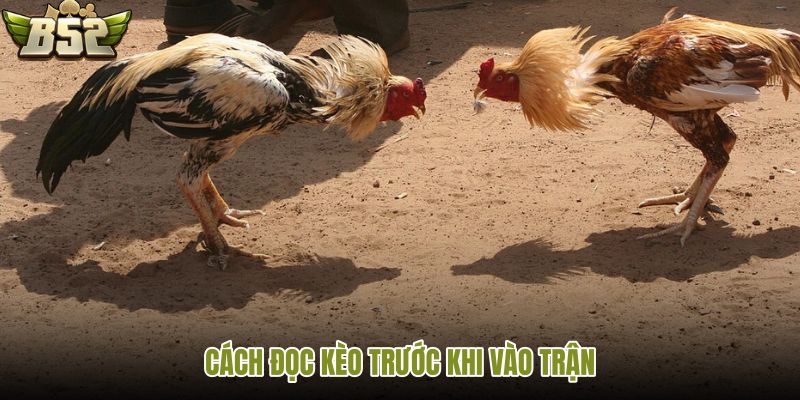 cach-doc-keo-truoc-khi-vao-tran