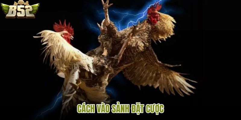 cach-vao-sanh-dat-cuoc