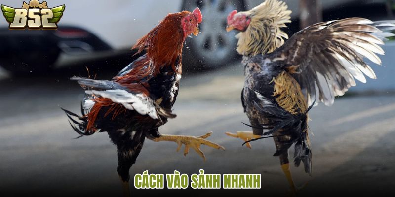 cach-vao-sanh-nhanh