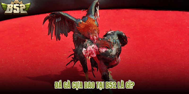 da-ga-cua-dao-tai-b52-la-gi