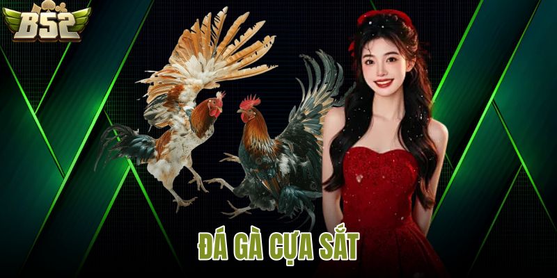 Đá gà cựa sắt
