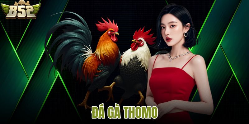 Đá gà thomo