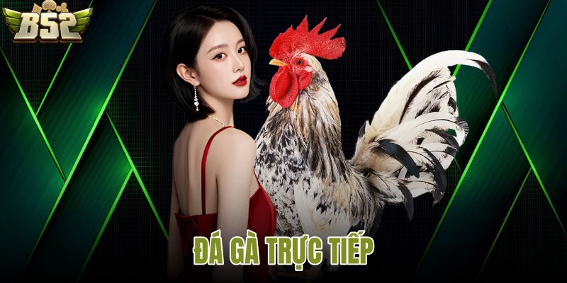 Đá gà trực tiếp
