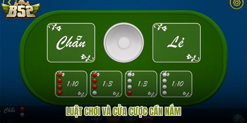 luat-choi-va-cua-cuoc-can-nam