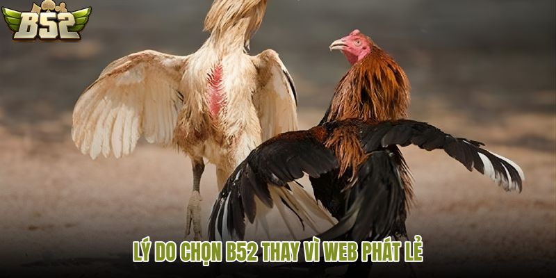 ly-do-chon-b52-thay-vi-web-phat-le