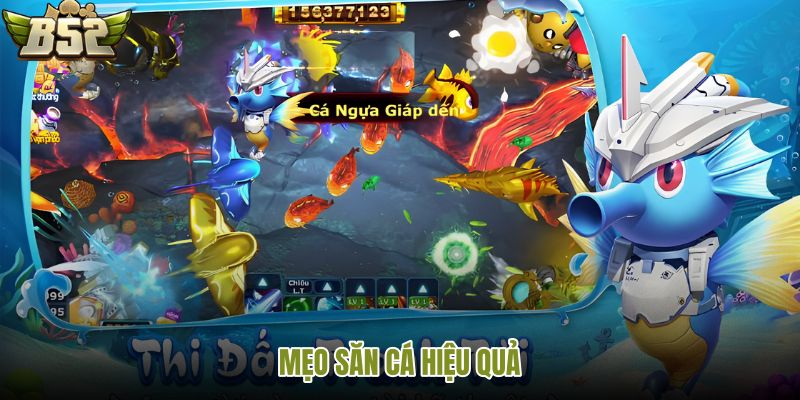 meo-san-ca-hieu-qua