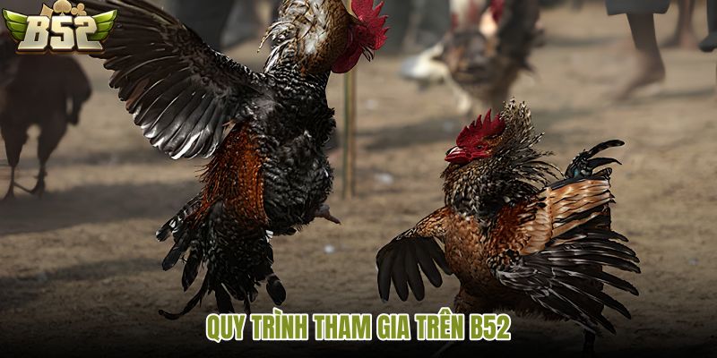 quy-trinh-tham-gia-tren-b52