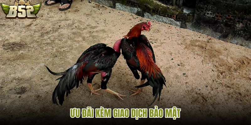 uu-dai-kem-giao-dich-bao-mat